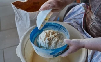 How to Make Your Own Sourdough Bread Without Fermented Starters